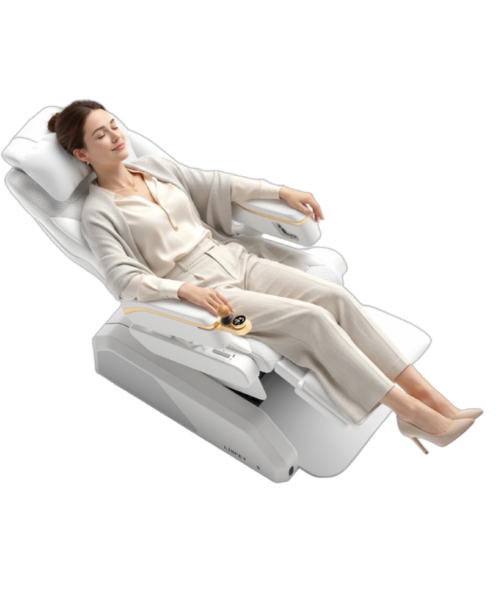 LIBPET S drivable healthcare chair focus view